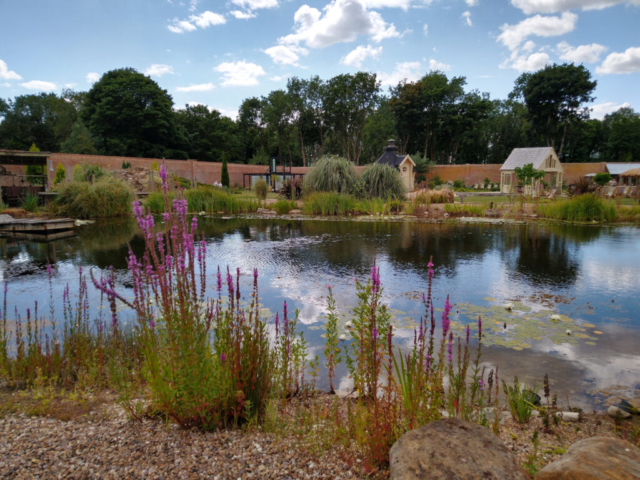 View across the water  Walled Garden Baumber