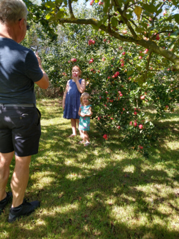 Apple picking time