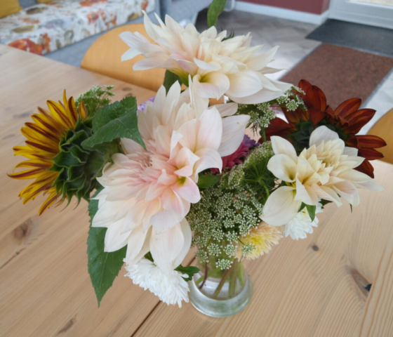 Cutflowers