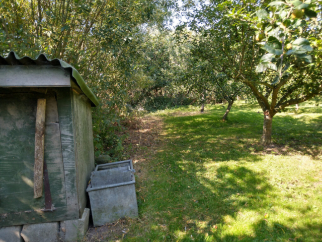 Orchard