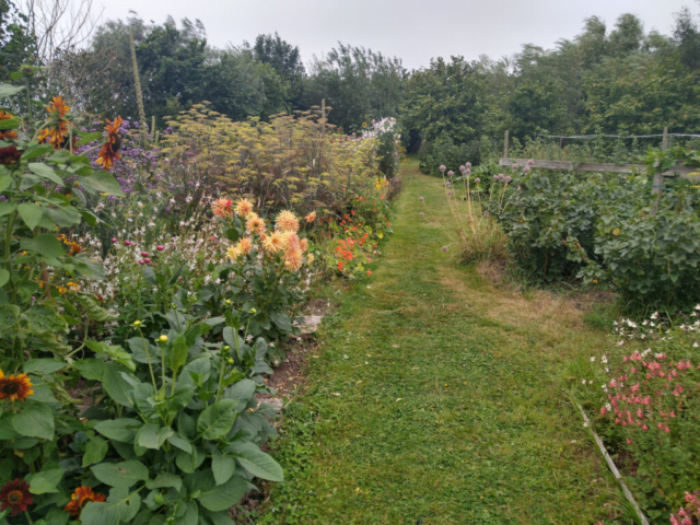 View towards orchard past annual beds