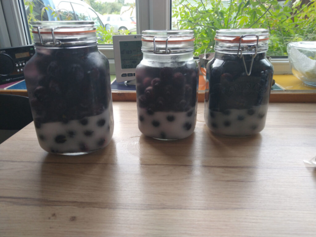 Damson gin