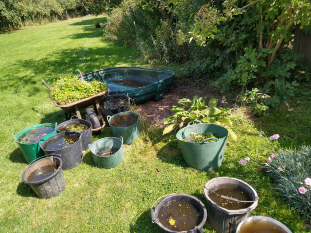 Pond emptied, ready for a move