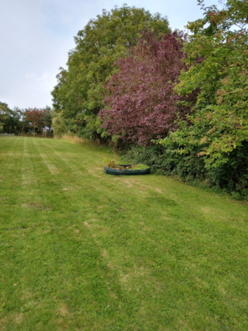 Pond in new temporary  position half way up the garden