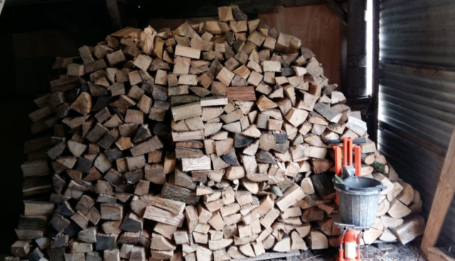 Logs stacked for the winter