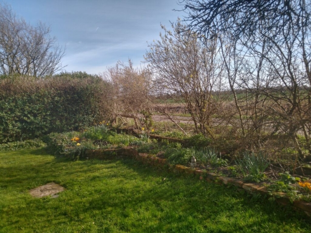 Front garden