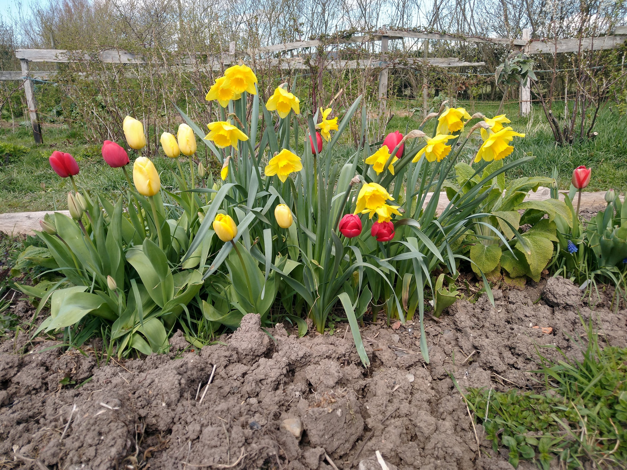 2021 – April