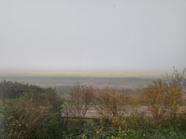 Fog and frost