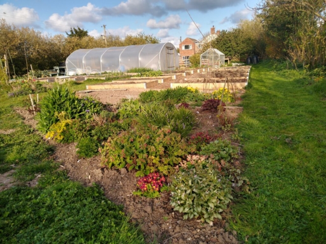 Spring bed