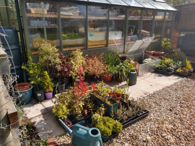 Plants outside potting sheds