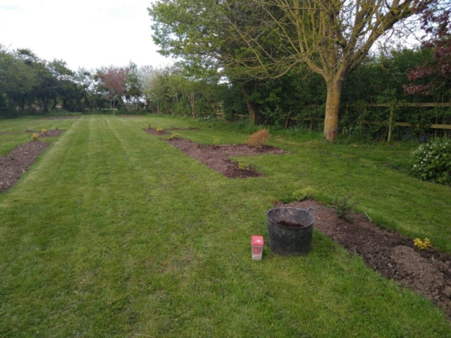 Planting in progress