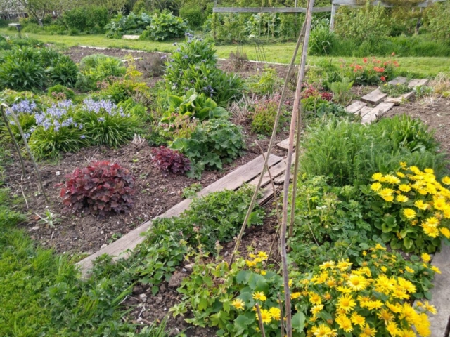 Spring bed