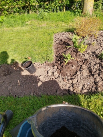 Planting