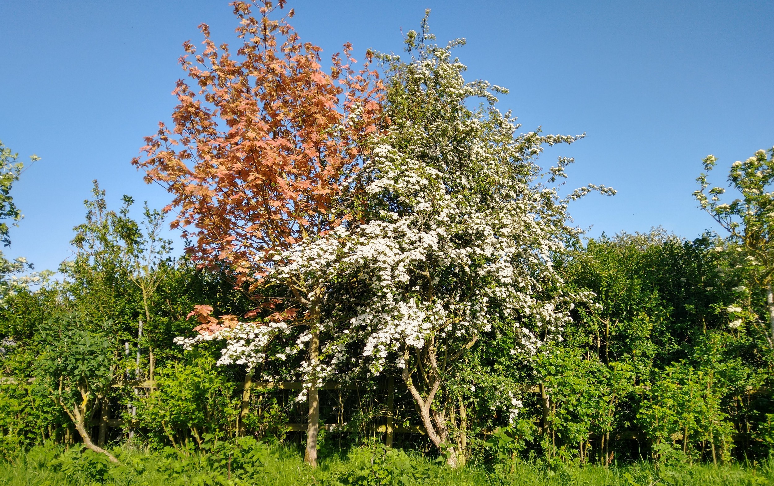 2021 – May