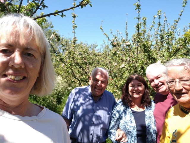 Orchard