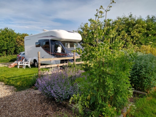 Harpsbridge campsite