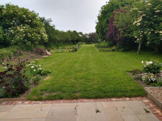 Back garden