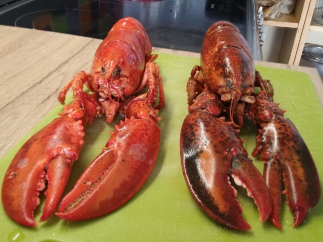 Lobsters