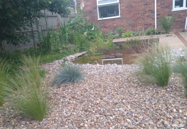 Pond