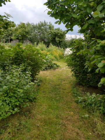 Goosenberry path