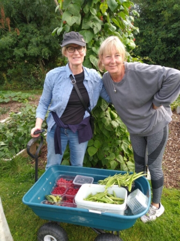 Pickers with harvest