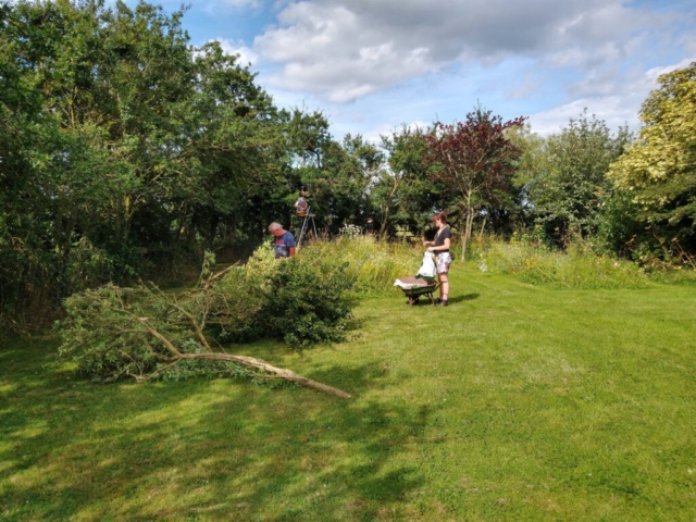 Tree surgery