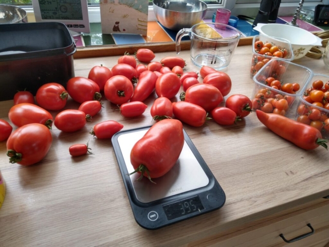 Sorting the harvest
