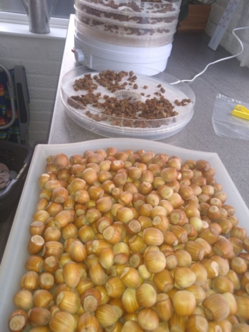 Nuts and raisins