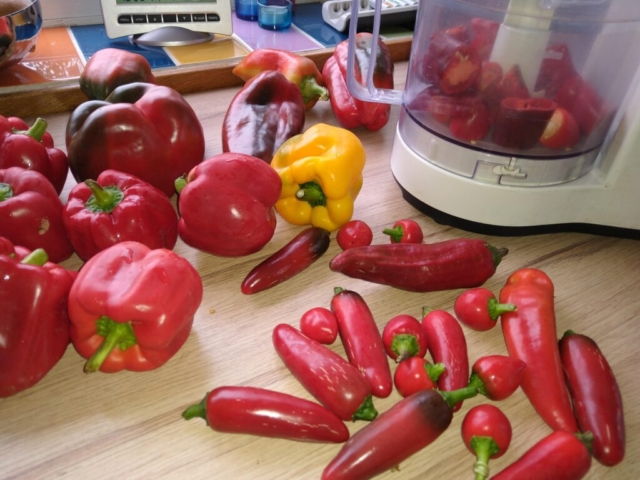 Chillis and peppers