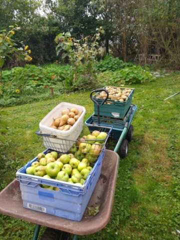 apple barrows
