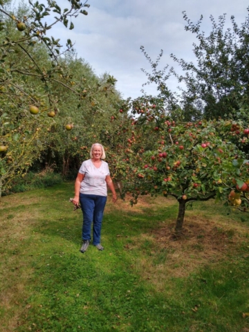 Orchard