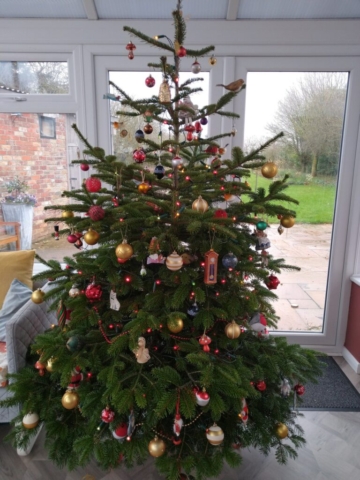Christmas Tree