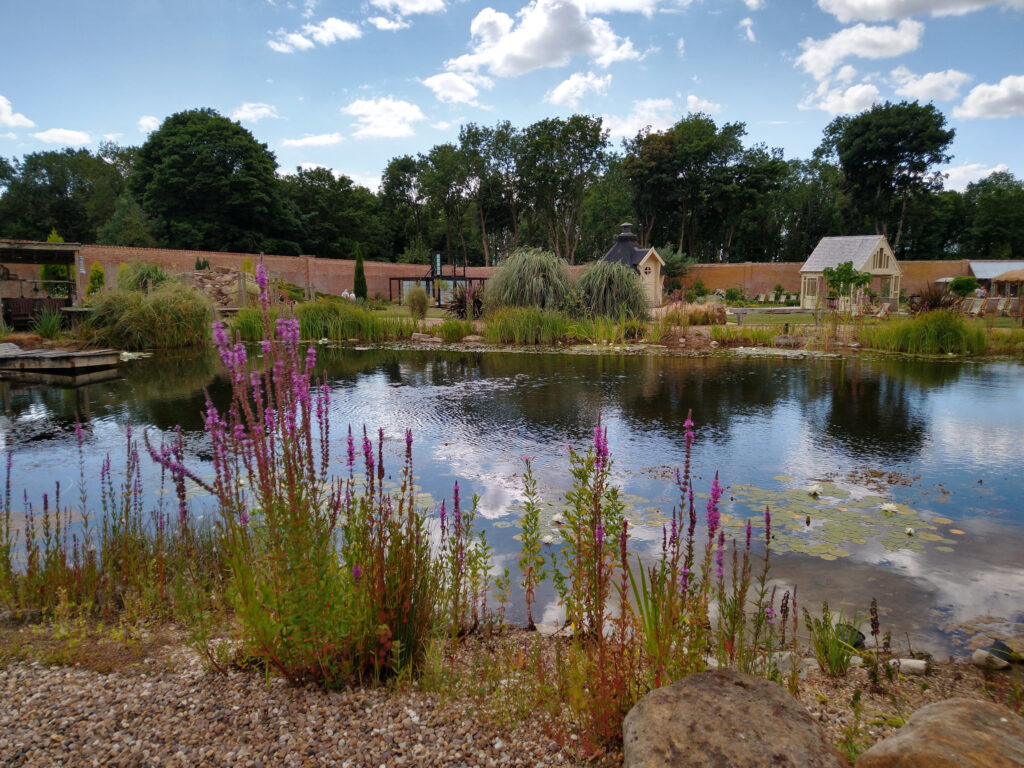View across the water  Walled Garden Baumber