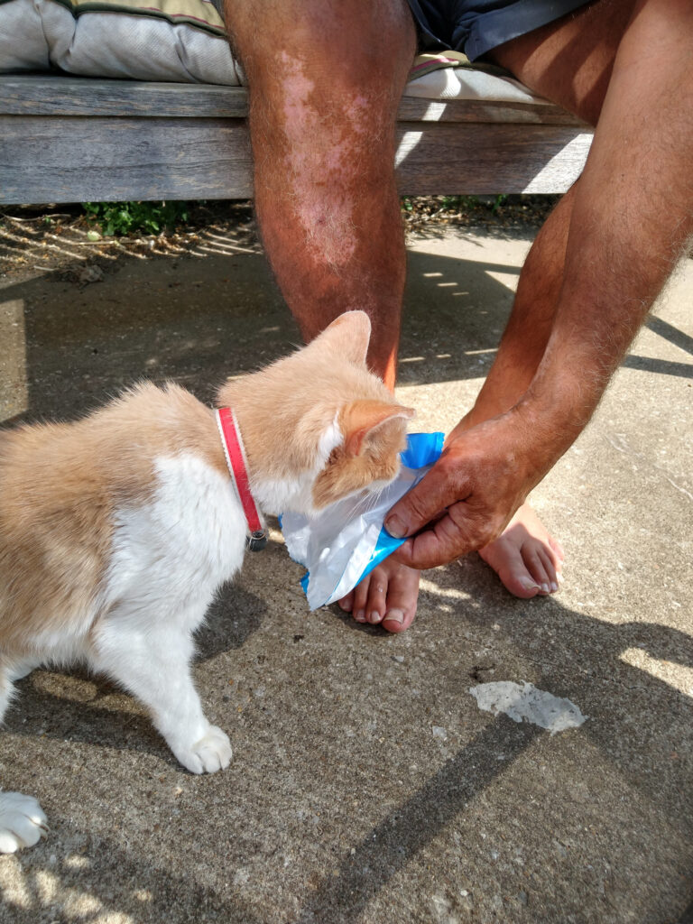 Chester discovers that he likes ice-cream