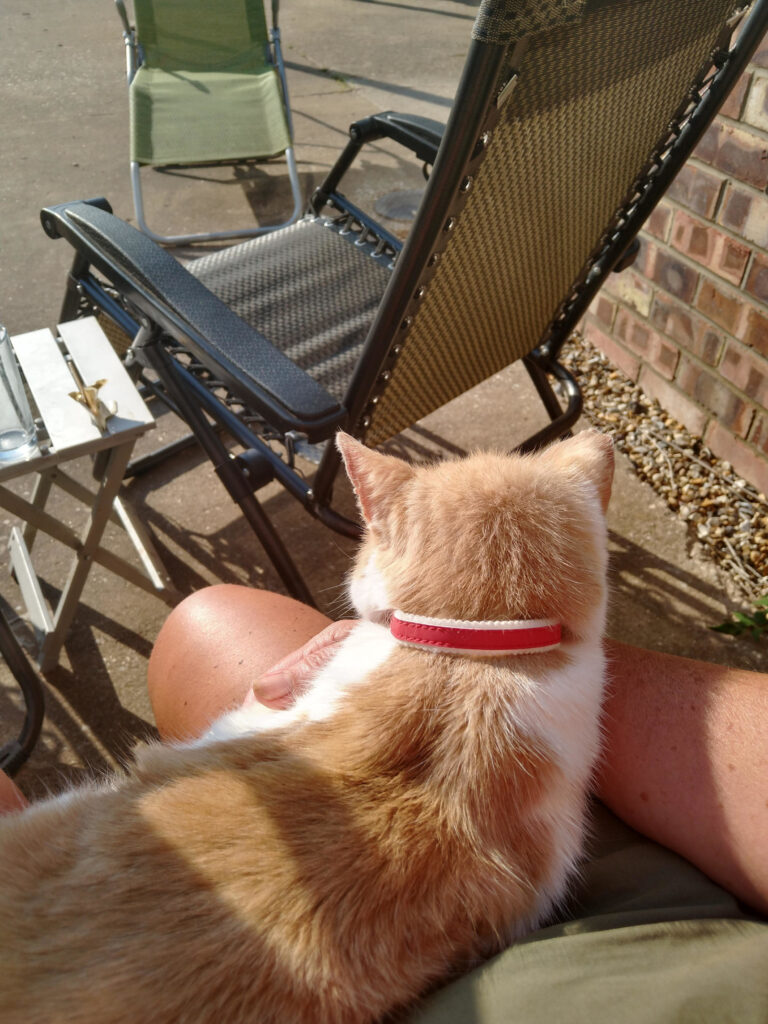 It's too hot, but I'm staying here