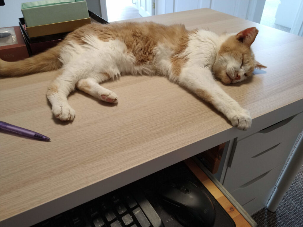 You didn't want this desk for anything did you?