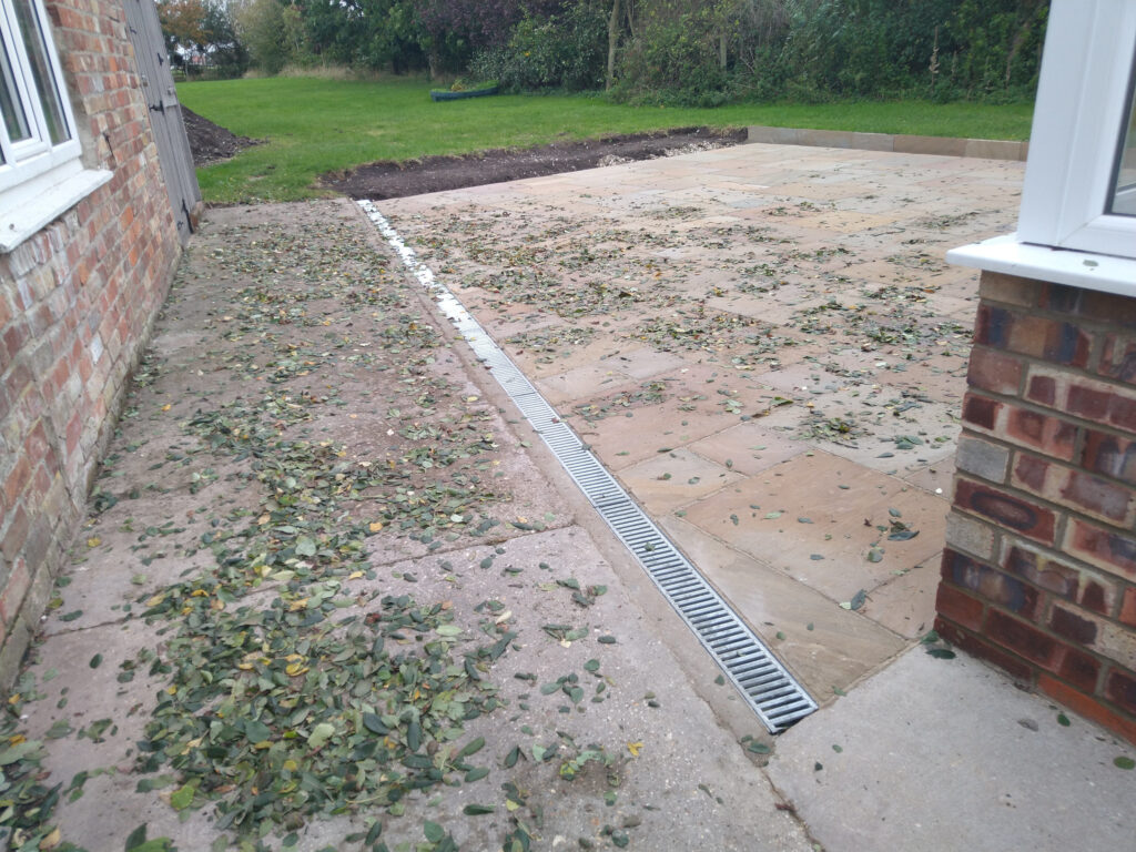 Leaves blown down before their time