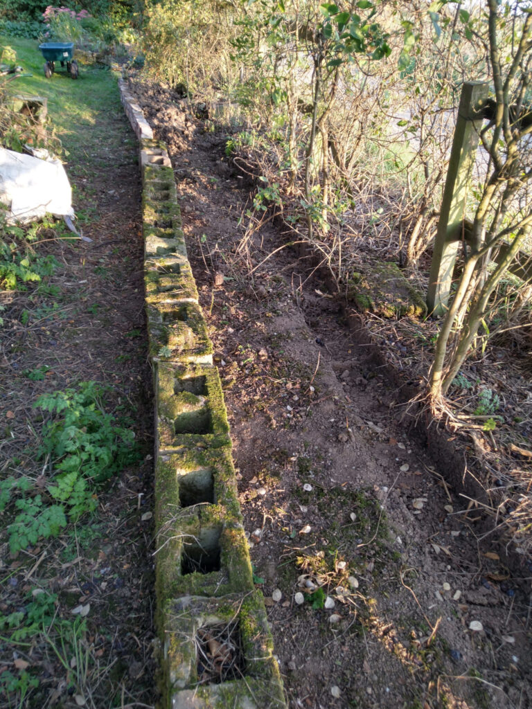 Front hedge edge  resized ready for filling