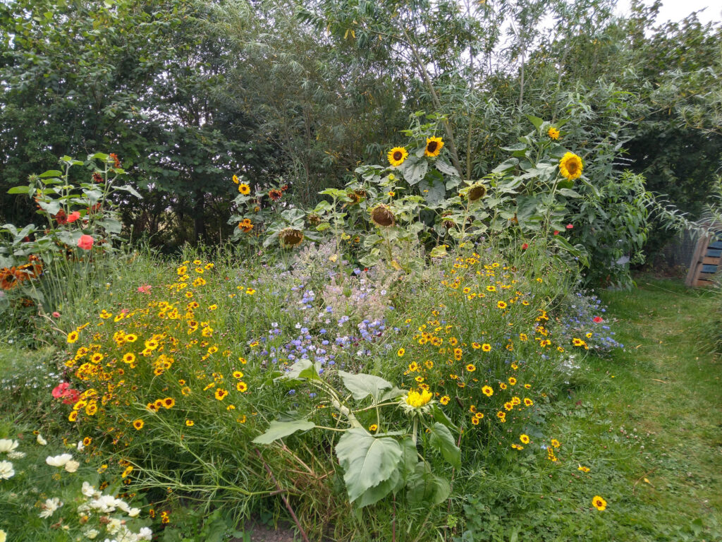 End of annual bed