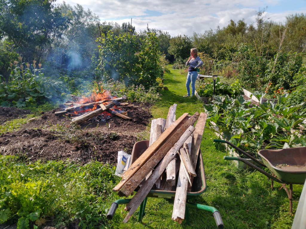 Bonfire