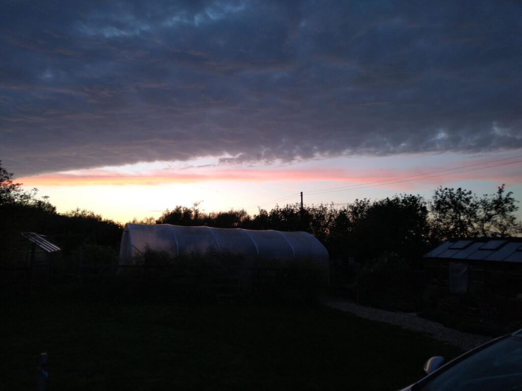 Sunset