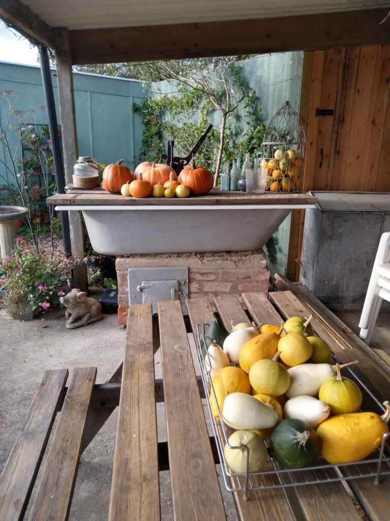 Autumn display