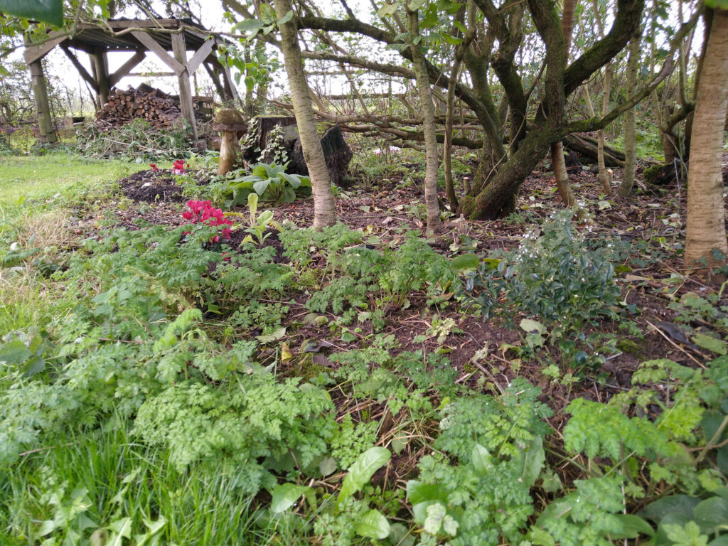 Woodland