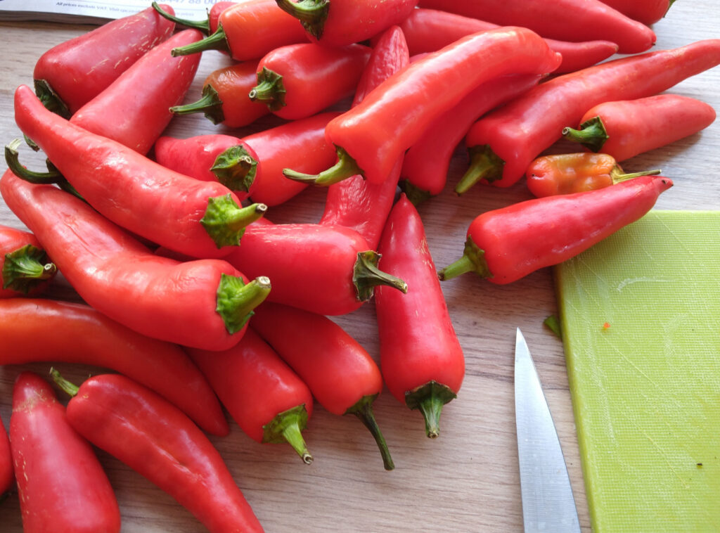 Ripe chillis for freezing
