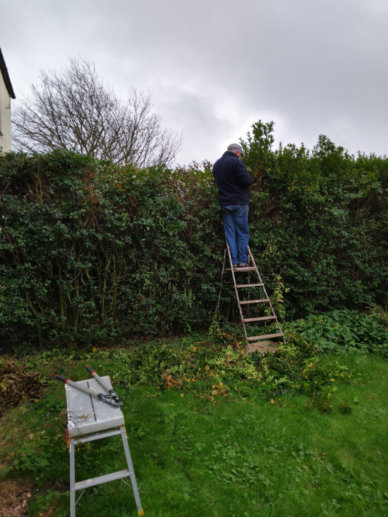 Finally topping the hedge
