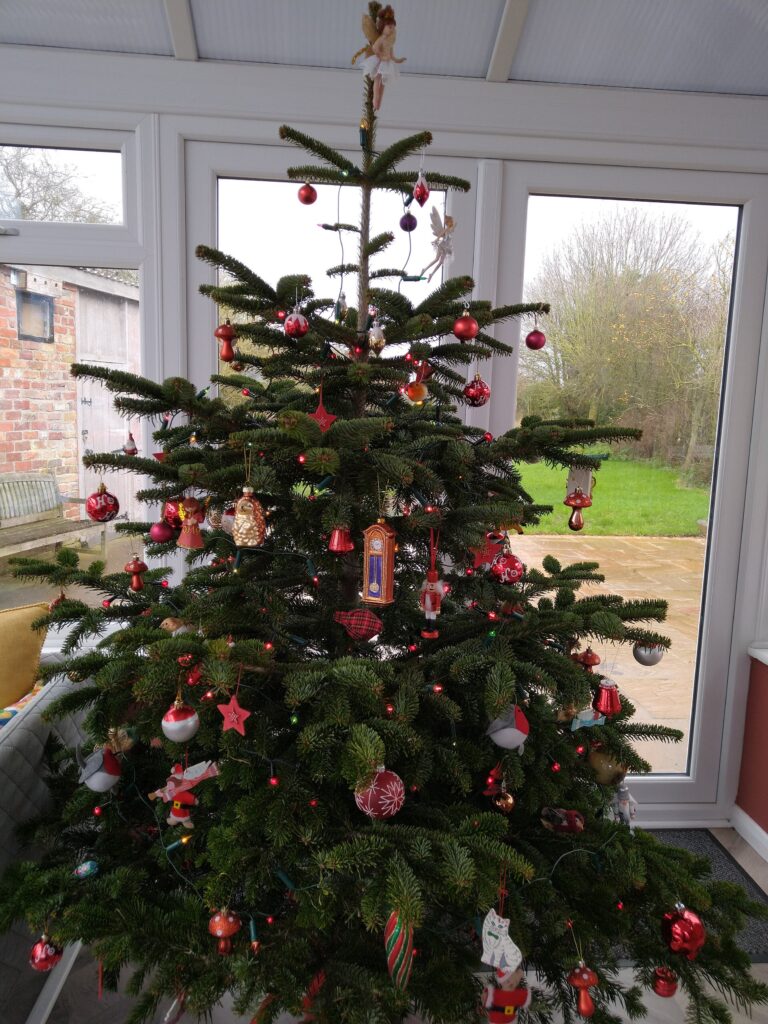 Conservatory Christmas tree