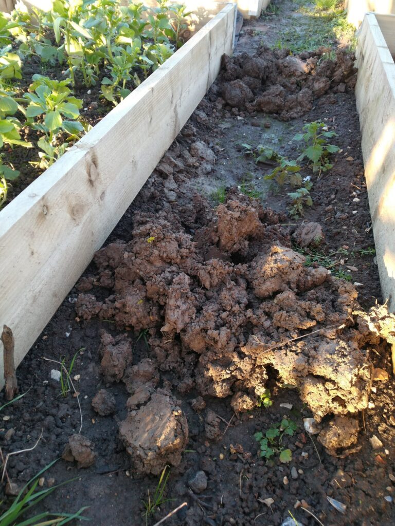 Heaps of gooey clay Heaps of gooey clay