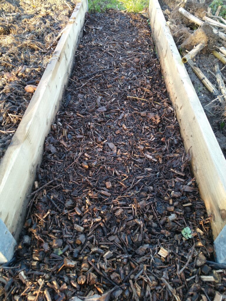 Covered with landscape fabric and shreddings Covered with landscape fabric and bark