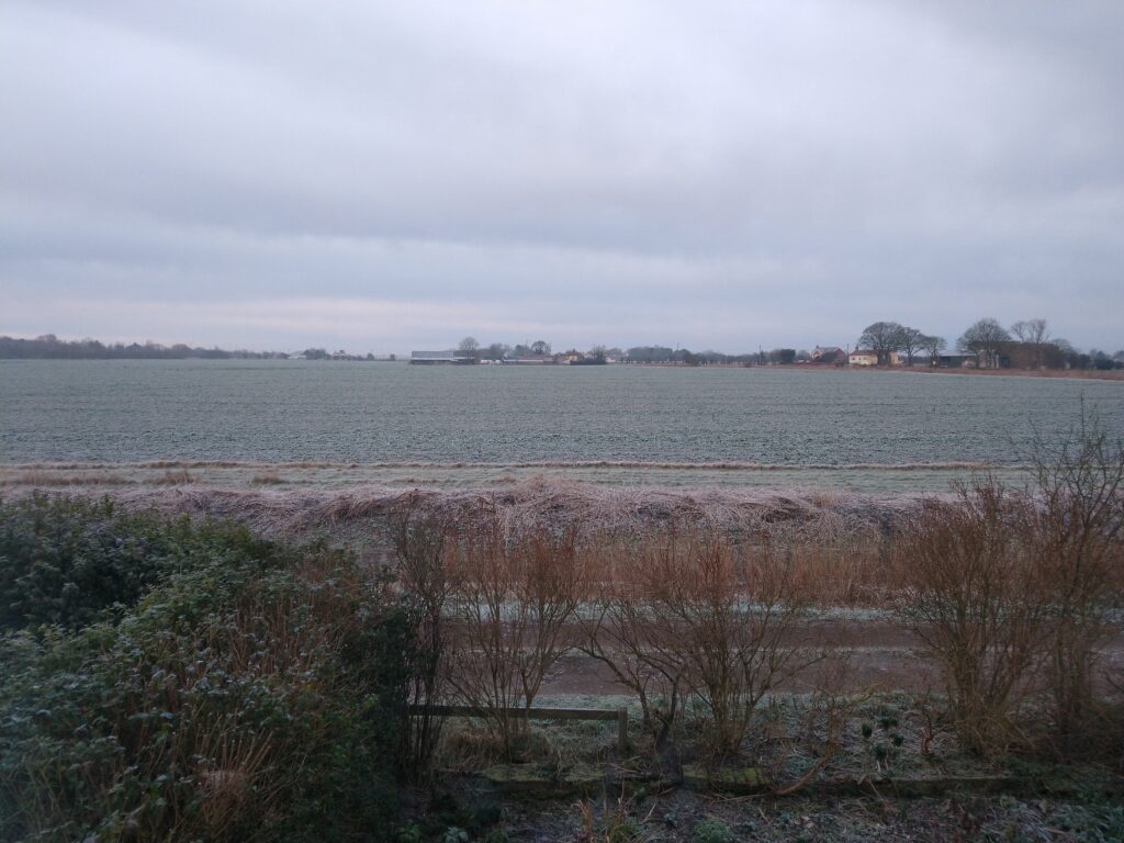 Frosty morning Frost