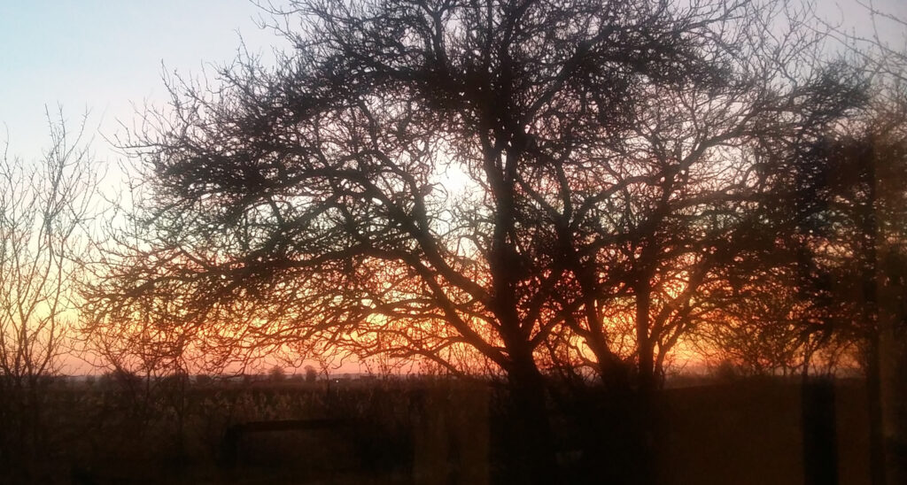 Sunset Sunset